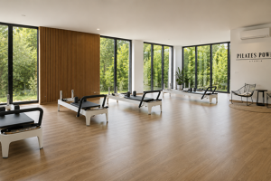 Pilates Obruč: Efektivní Průvodce Posilováním a Flexibilitou s Pomocí Pilates Kruhu Pilates Obruč: Efektivní Průvodce Posilováním a Flexibilitou s Pomocí Pilates Kruhu
